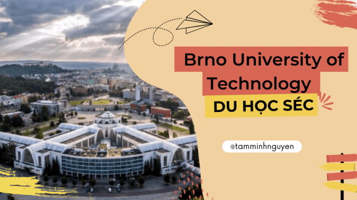 brno university of technology